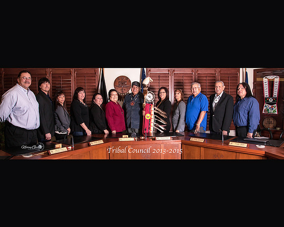Council 2013-2015