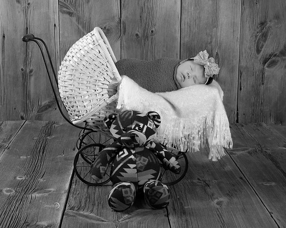 23bw