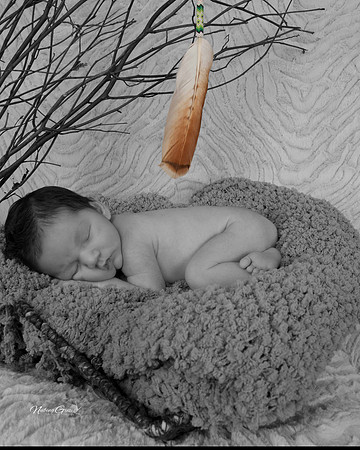 Newborn