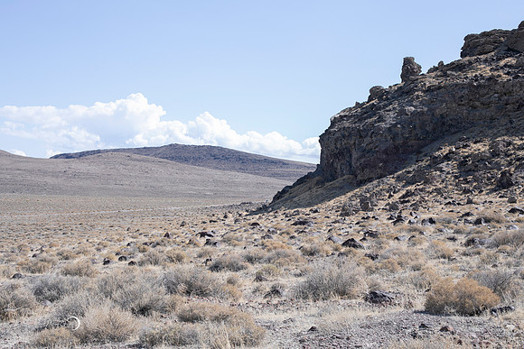 Reno-181
