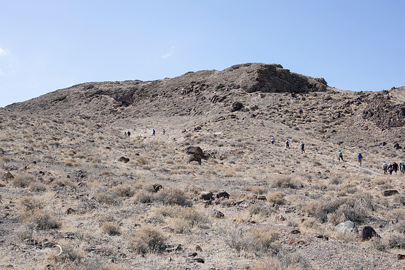 Reno-182
