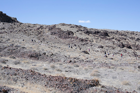 Reno-183
