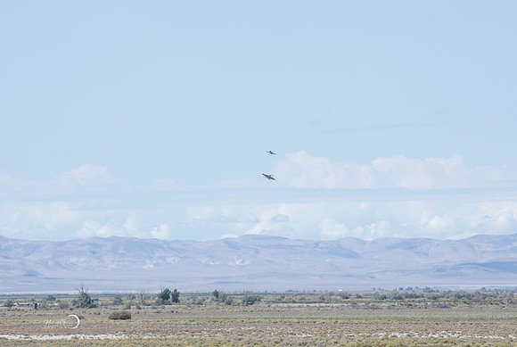 Reno-175