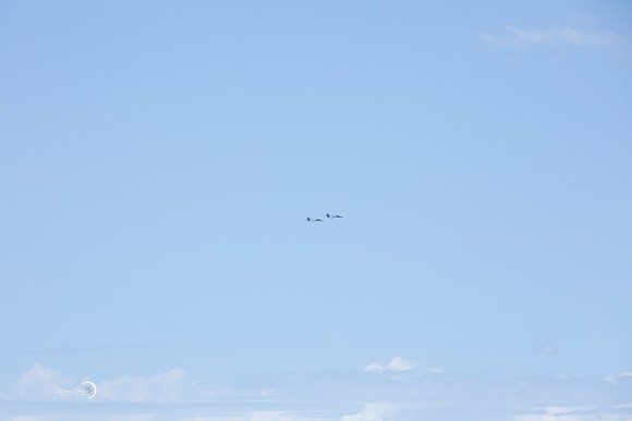Reno-171
