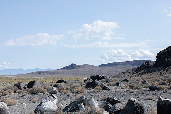 Reno-169