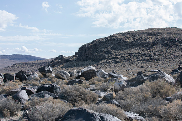 Reno-165
