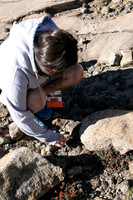 Reno-14