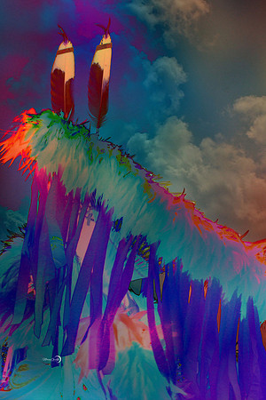 14 - Feathers