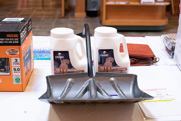 MIIBS Auction-6