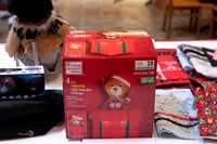 MIIBS Auction-9