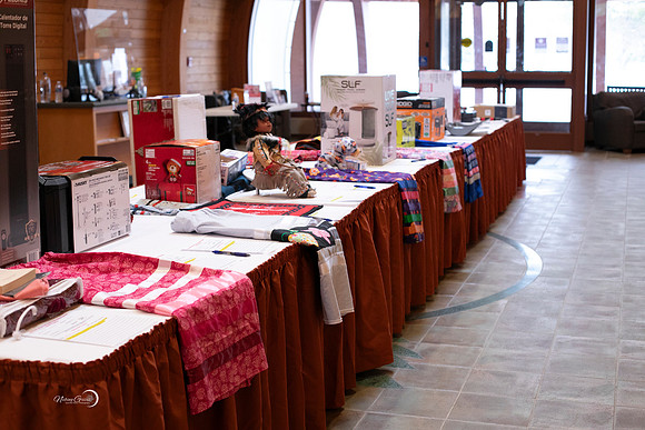 MIIBS Auction-14