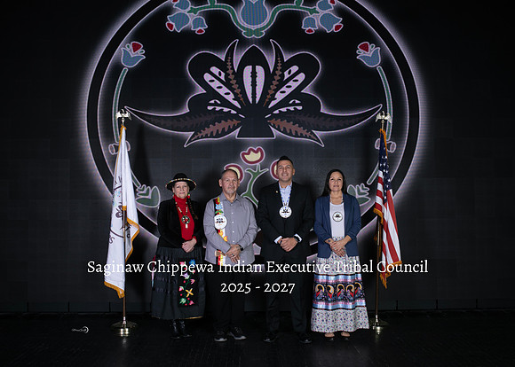 1Council Executive Final