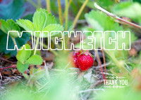 miigwetch4