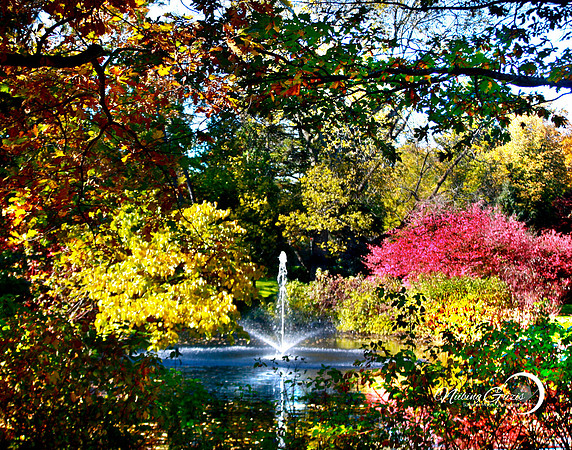 Fountain