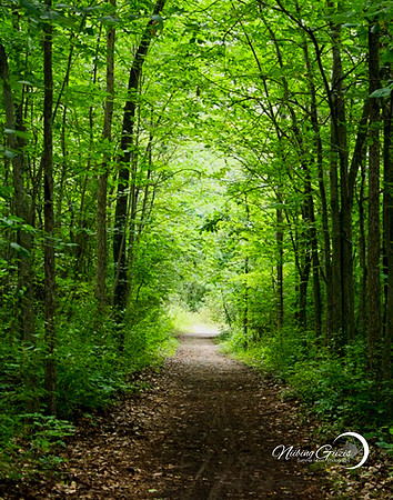 Pathways