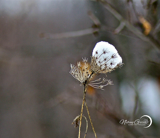 Snow Cap