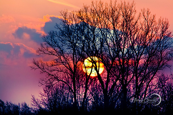 Sun Swirls