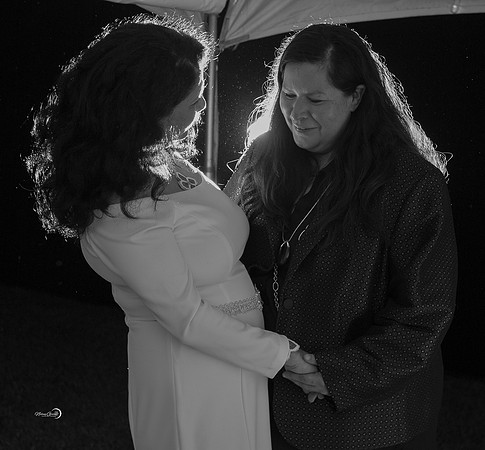 Reception-334