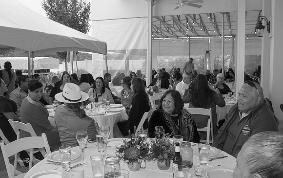 Reception-244