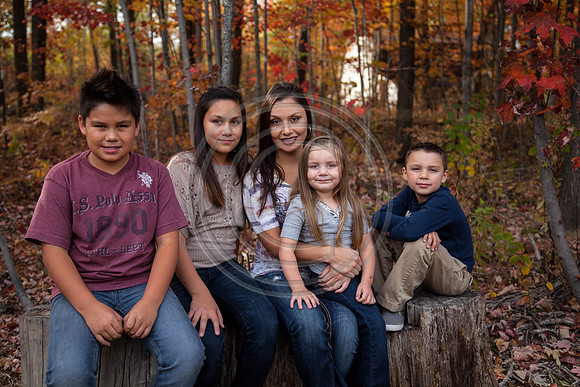 Families #3