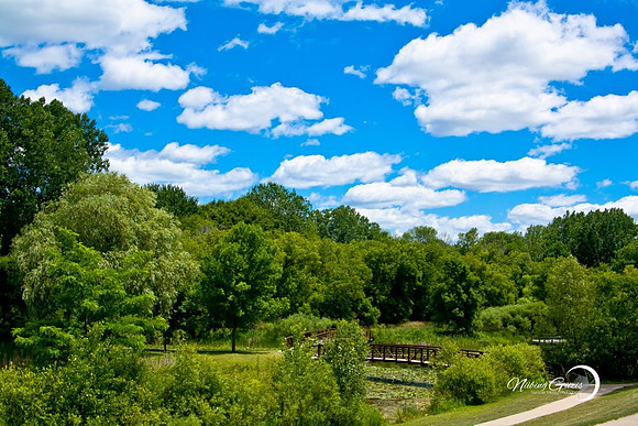 Blue Sky