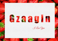 gzaagin2