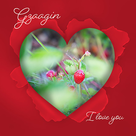 gzaagin4