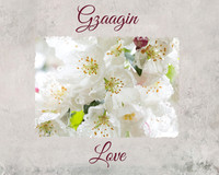 gzaagin3