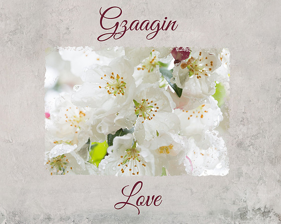 gzaagin3