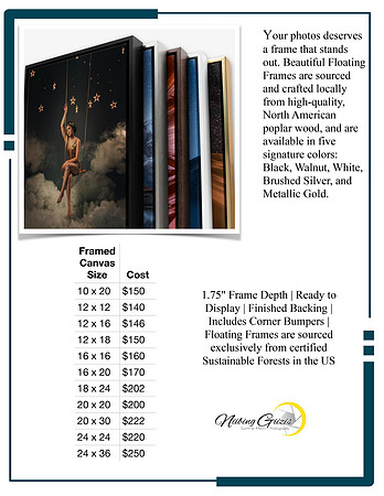 Floating Frames Ad