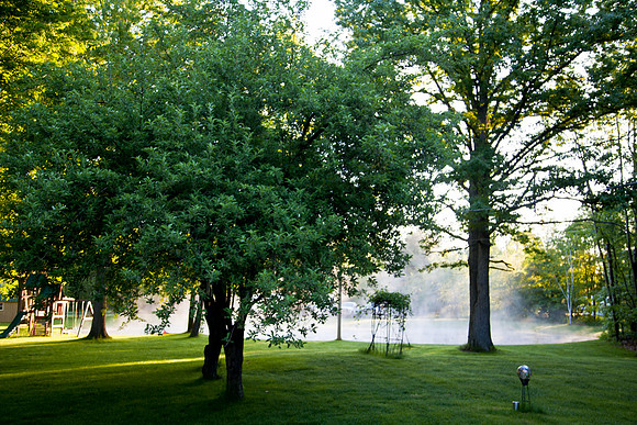 Pond Fog (1 of 1)