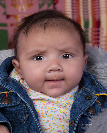 Baby Lilly