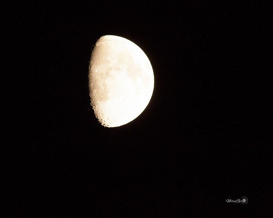 moon8x10
