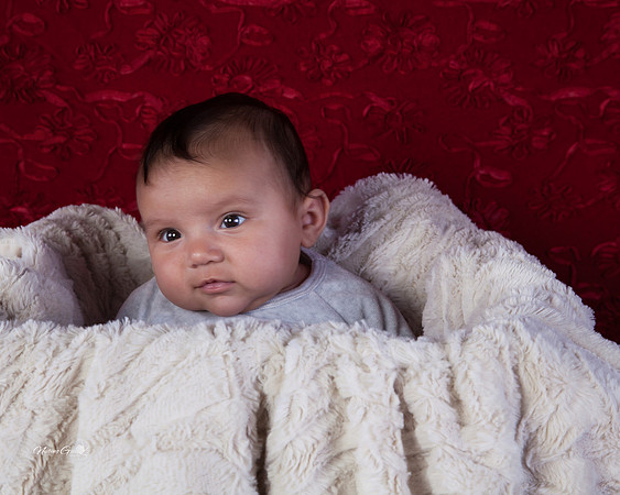 Baby Lilly