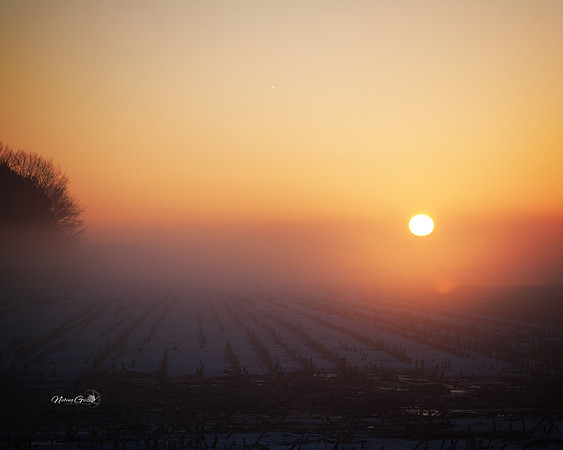 sunrise7