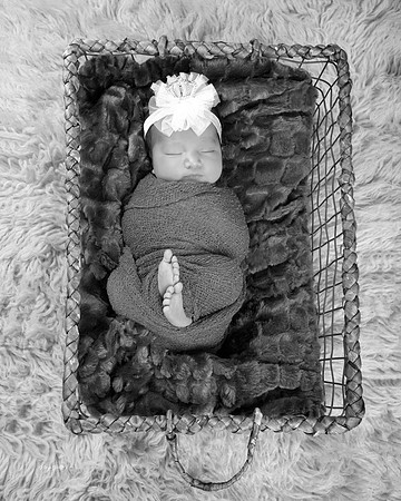 11bw