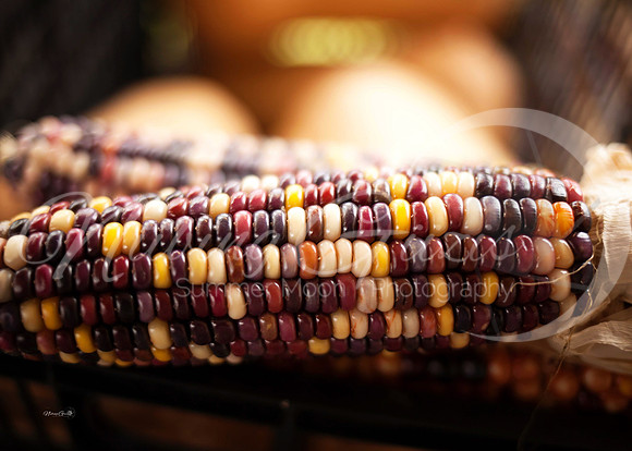 corn2