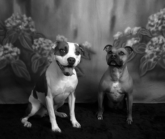 2bw