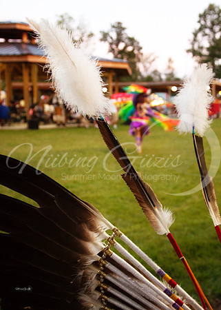 feathers2