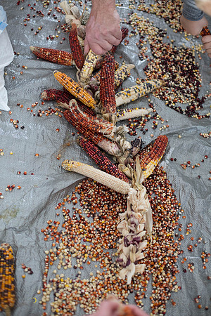 CornSoup-8