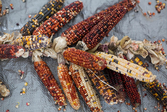 CornSoup-9