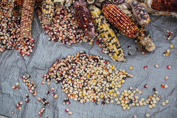 CornSoup-10