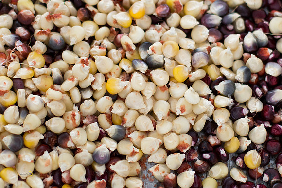 CornSoup-11