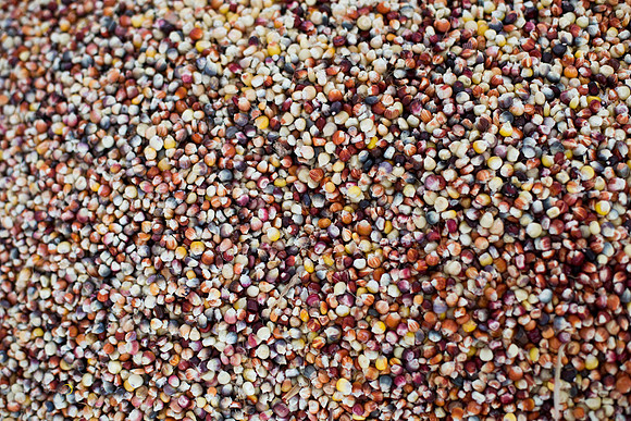 CornSoup-19