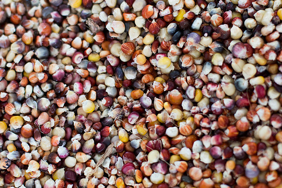 CornSoup-20