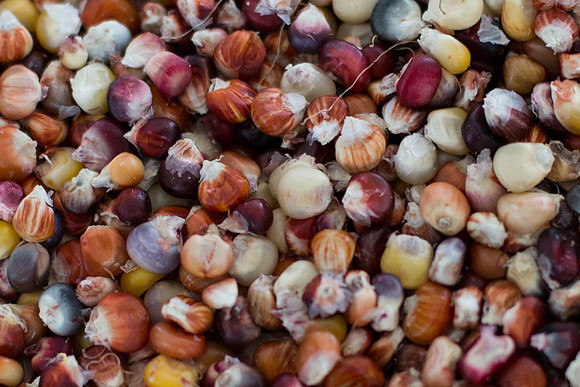 CornSoup-21