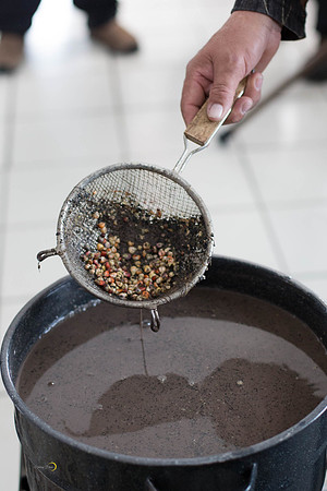 CornSoup-69