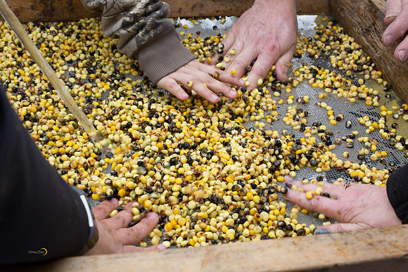 CornSoup-121