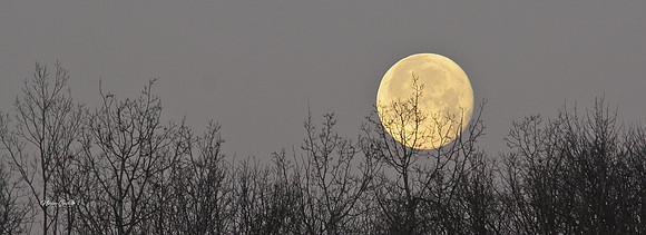 moon 33x12