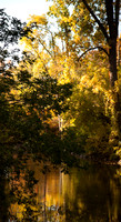 Chippewa River#1